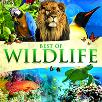 best of wildlife cd cover