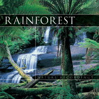 rainforest cd cover